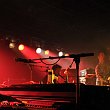 thus owls-32051